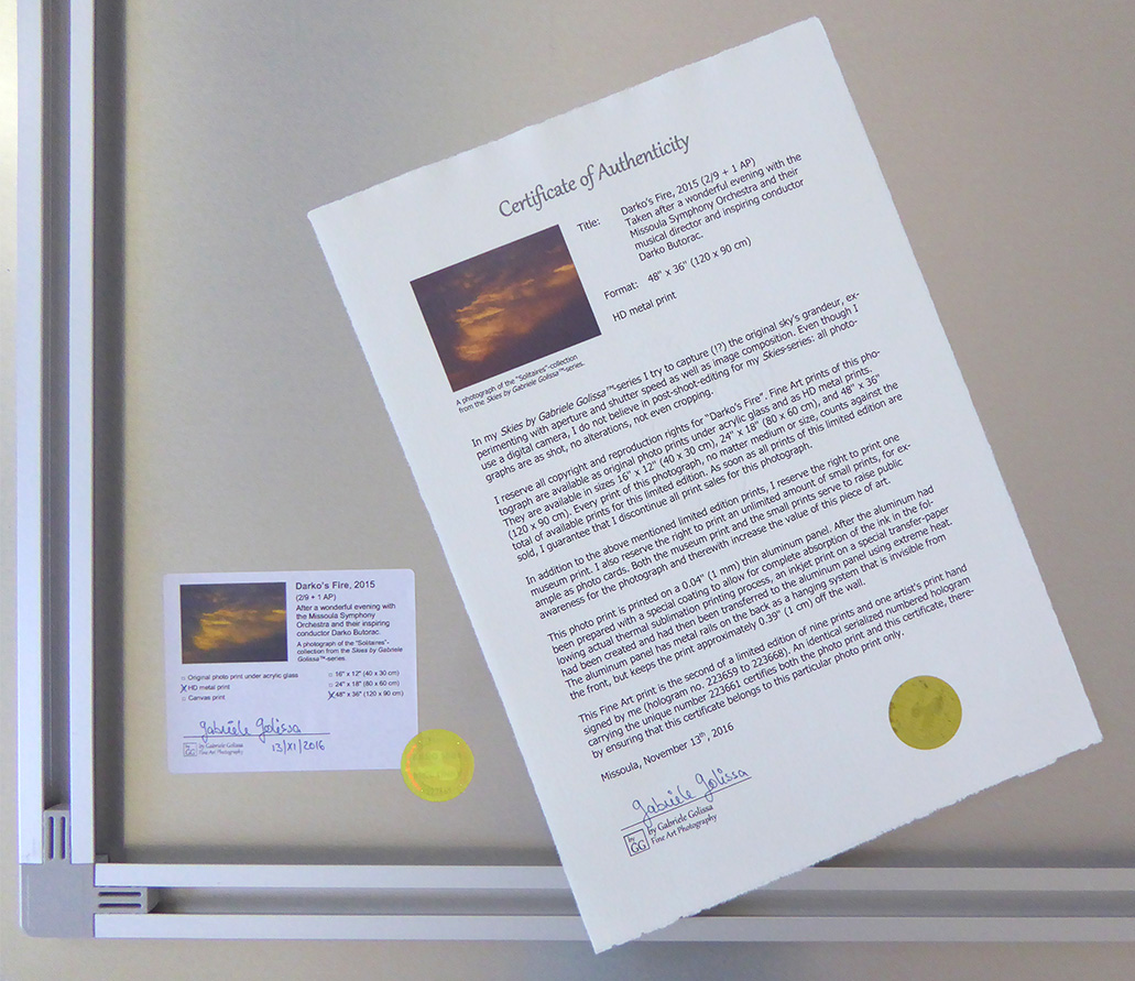 Certificate of Authenticity with matching hologram on the back of an 'Darko's Fire' HD metal print.